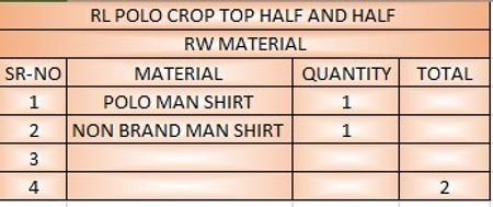 Upcycled Ralph Lauren Crop Top Half and Half