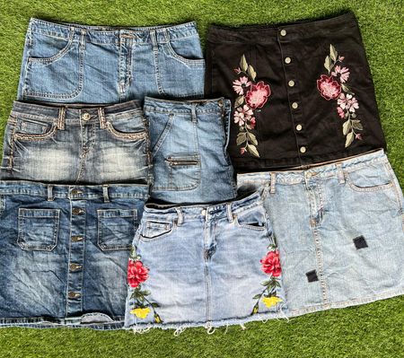 EMBROIDERED / MINI SKIRTS