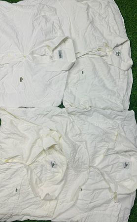 本物のLacosteシャツ