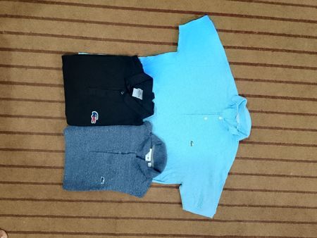 Lacoste Polo T-Shirts