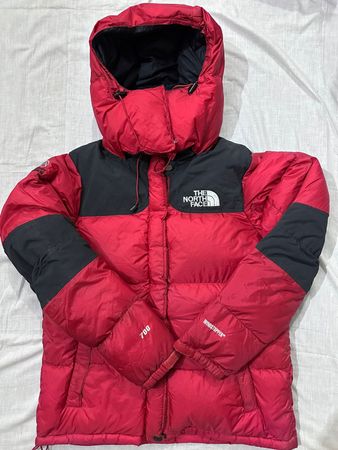 The North Face Puffer Jackets 700