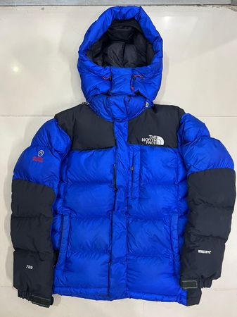 The North Face Puffer Jackets 700