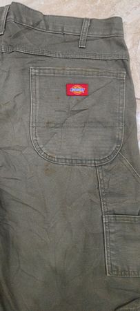 Dickies cotton shorts