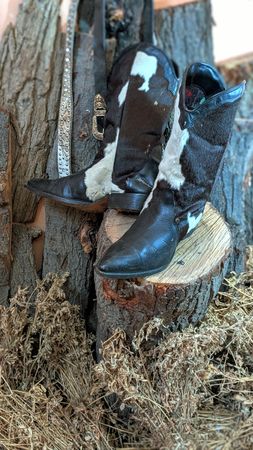 Bottes de cowboy vintage