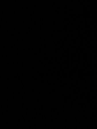 Custom handpick Patagonia fleece jackets