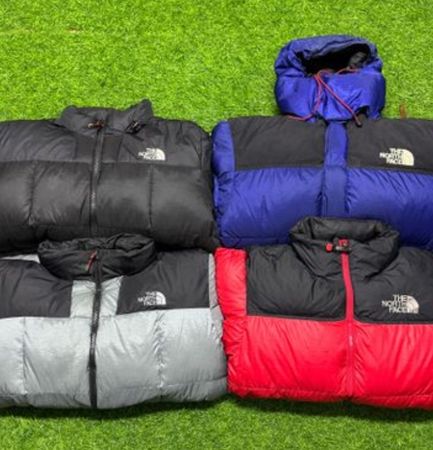 The north face puffer jacket