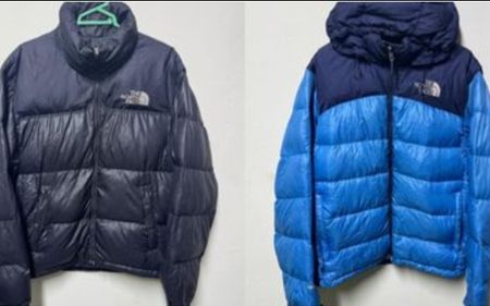 The north face puffer jacket