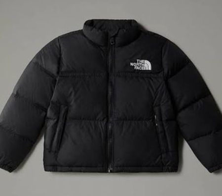 The north face puffer jacket