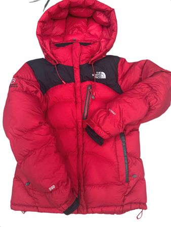 The North Face Puffer Jackets