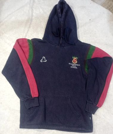Mixed branded hoodies
