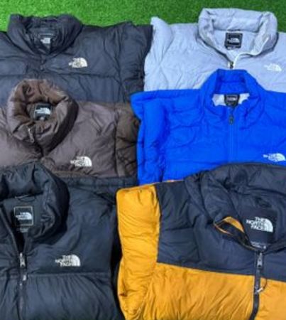 The north face puffer jacket