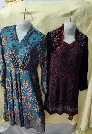 Fancy Long sleeve Dresses