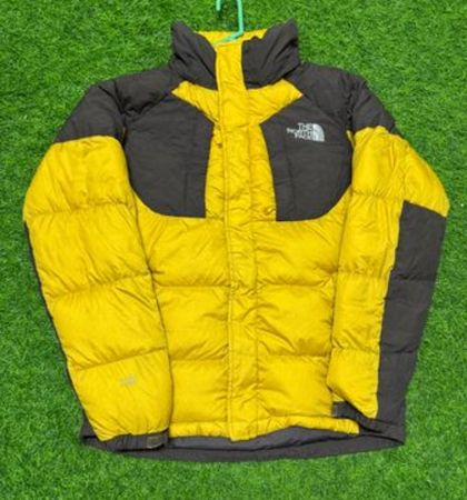 The north face puffer jacket