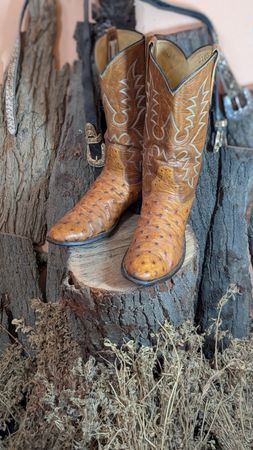Bottes de cowboy vintage