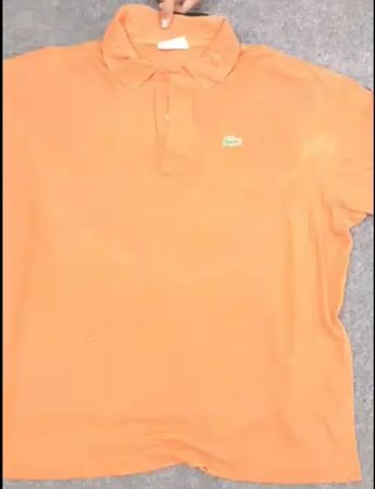 Lacoste T-Shirts