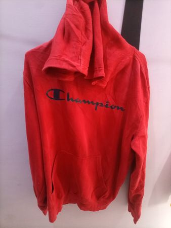 Champion Hoodie and Sweatshirt