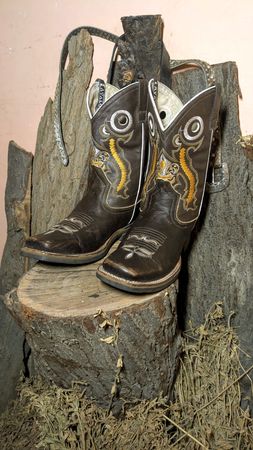 Bottes de Cowboy Vintage