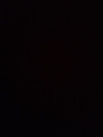 Custom handpick Ralph Lauren Shirts (Plain and Stripes Only)