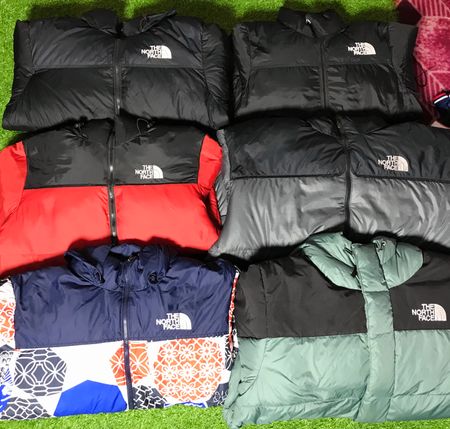The North Face Puffer Jackets (FF 1034 )
