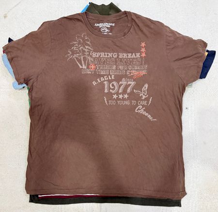 American Eagle T shirts 15 pieces