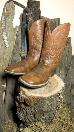 Bottes de cowboy vintage