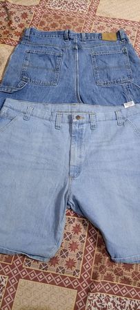 Carpenter shorts