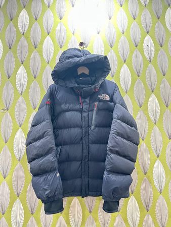 The North Face Puffer Jackets