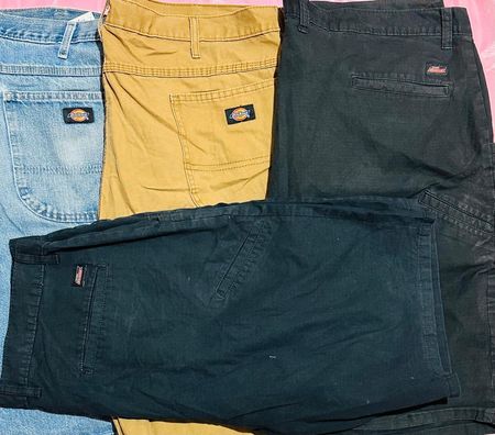 Dickies Shorts