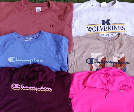 Champion Hoodies & Sweatshirt (2318)