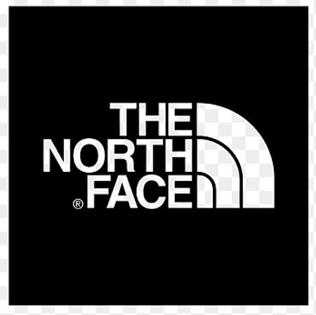 The North face t shirts