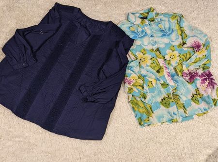 Beautiful fashion blouse