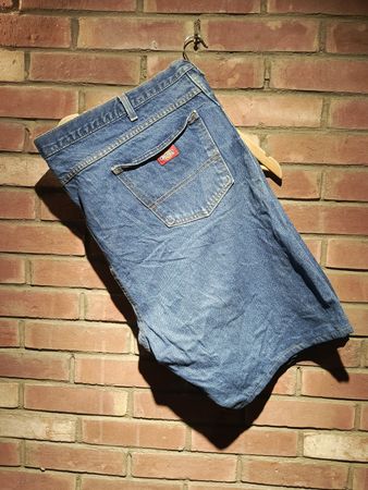 Dickies Shorts SK-31