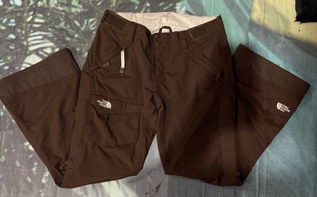The north face track pant
