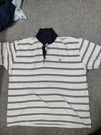 Carhartt, Polo, Lacoste Branded T-shirts