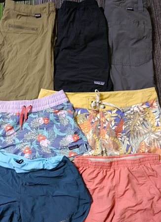 Patagonia Short (2450)