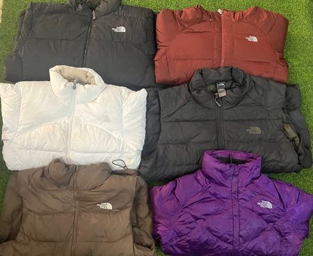 The north face puffer jacket