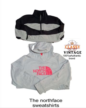 La sudadera Hoddies de northface