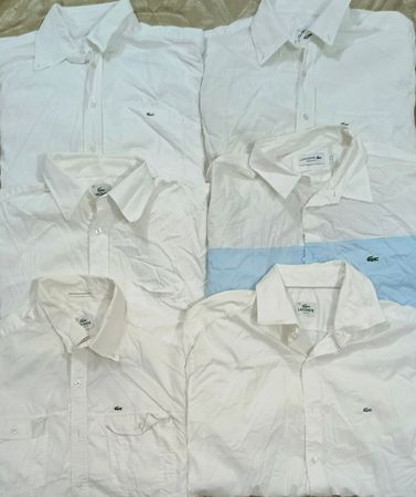 Camicie Lacoste