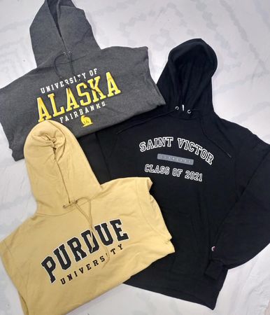 ZV0192 Champion Hoodies