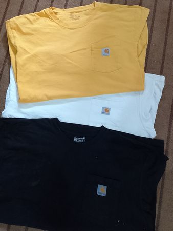 Carhartt Authentic T-shirts for men