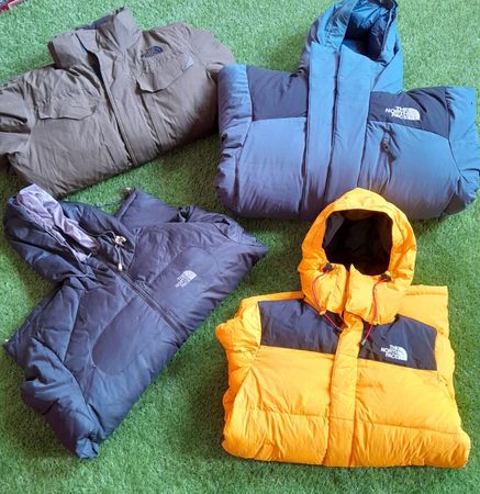 The north face puffer jacket