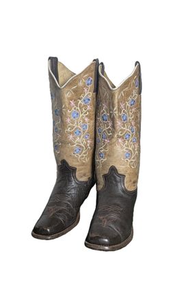 Bottes de cowboy vintage