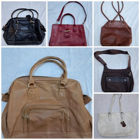 Longchamp Leather Collection – 18 Bags (Mixed Designs)