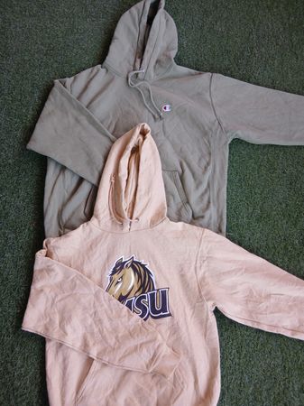 Pulls à capuche Champion