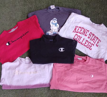 Champion sweatshirt