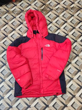 The North Face Puffer 700