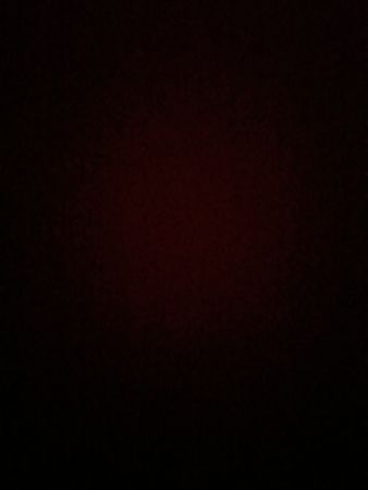 Maßgeschneiderte Handabholung Sophiahoodson