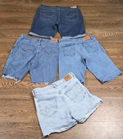 Levis denim short (26)