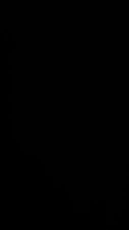 Selección personalizada Diana-450 piezas (Suéteres, Sudadera, Chaqueta, Forros, Vestidos, etc.)