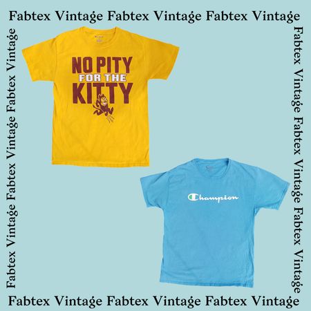 (FV-322) Champion Long sleeve t-shirt